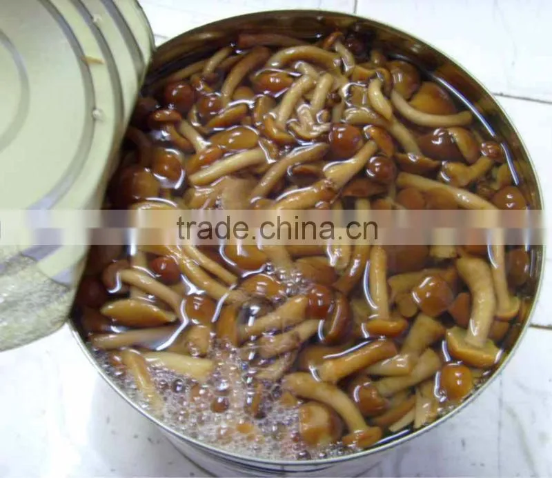 Canned Nameko ( can sizes: 2840g, 800g, 400g, 314ml, 580ml, 720ml)