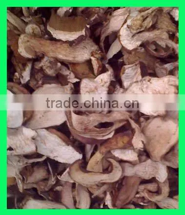 Grade A Dry Boletus Edulis Slice Dry Wild Mushroom