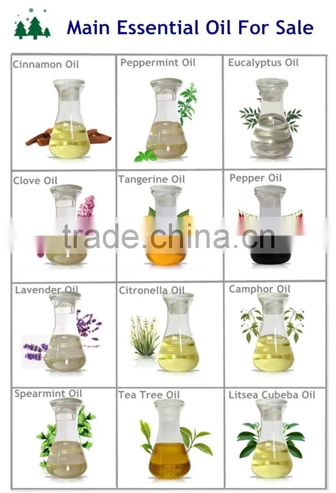 100% pure and natural jojoba oil wholesale