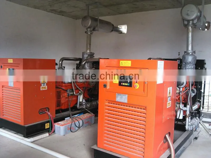 Farm Waste/Animal Waste Biogas Power Plant/Biomass Cogeneration Plant 20KW-500KW