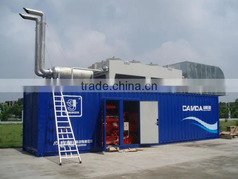 Turnkey Biomass Power Plant/Methane Gas Power Plant/ Oil Gas Power Plant/ Manure Electrical Plant