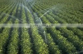 sprinkler irrigation equipment Evergreen sprinkler