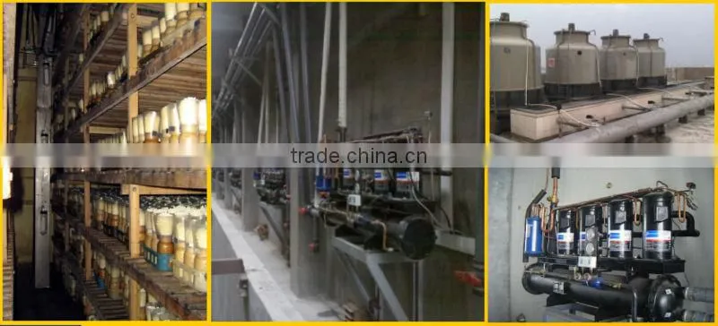 air cooled screw water chiller