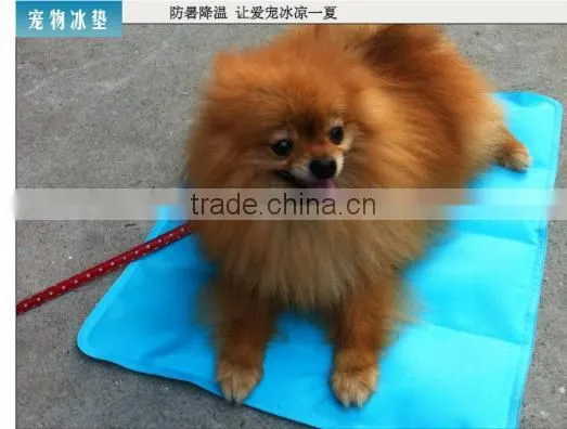 newest and eco-friendly ice pad , ice cushion for computer for pet