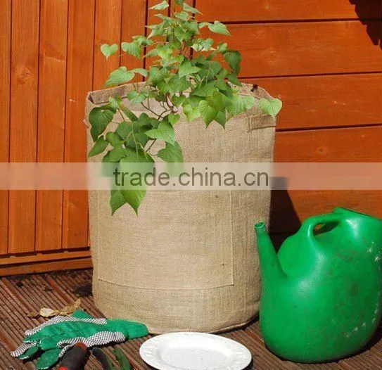 PE tomato planter