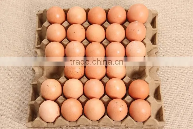 Compostable wheat straw 30 egg tray from virgin straw pulp not waste paper