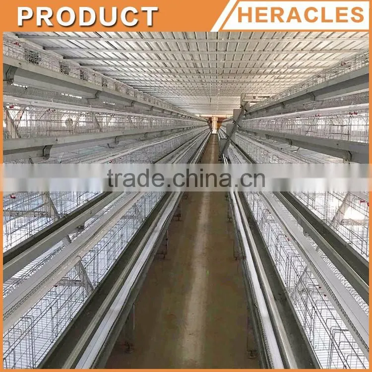 Heracles company price A type layer chicken cage-trade assurance chicken breeding cage