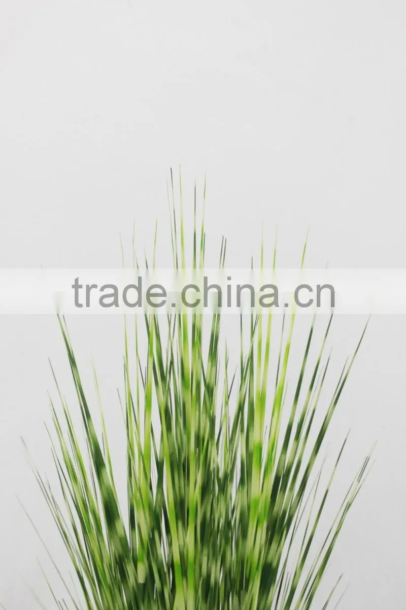 Wholesale artificial plants zebra onion grass in pot