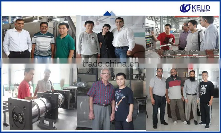 Fully Automatic Stainless Steel Puttanesca Processing Equipment