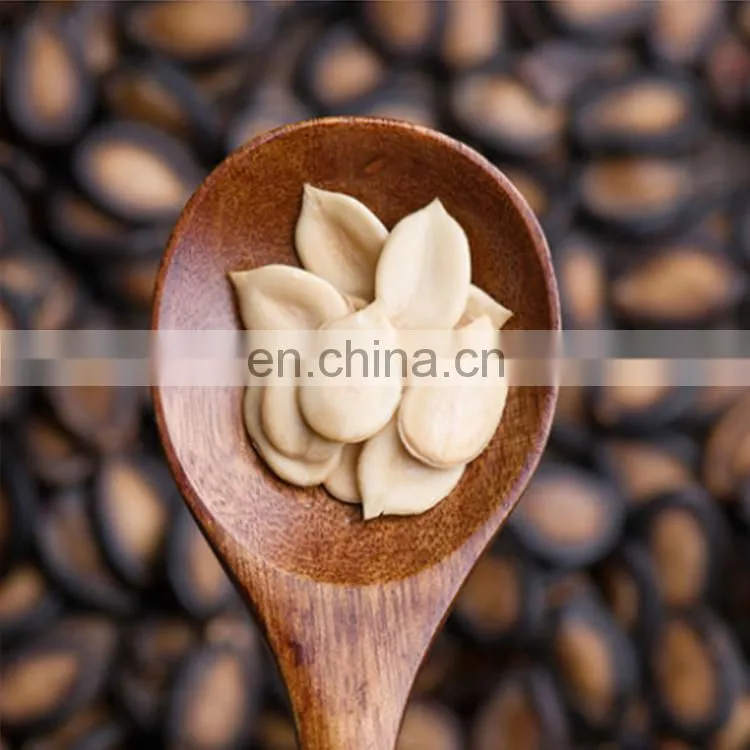 Argentina sunflower high oil seeds