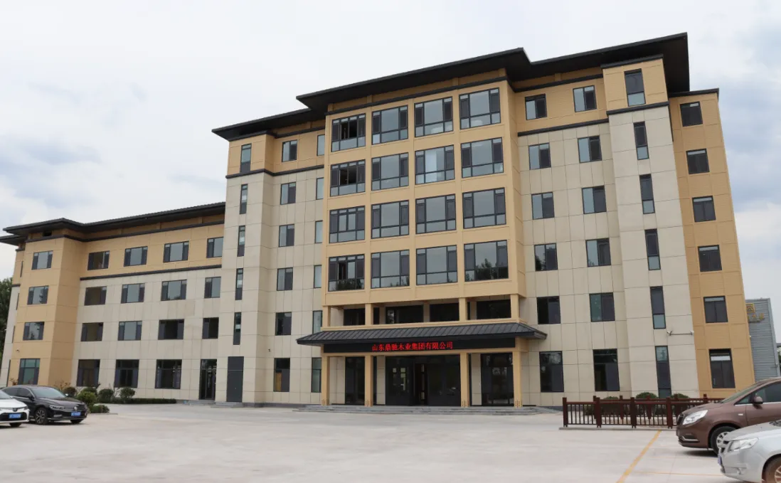 Shandong Dingchi Wood Group Co., Ltd company overview - view 1