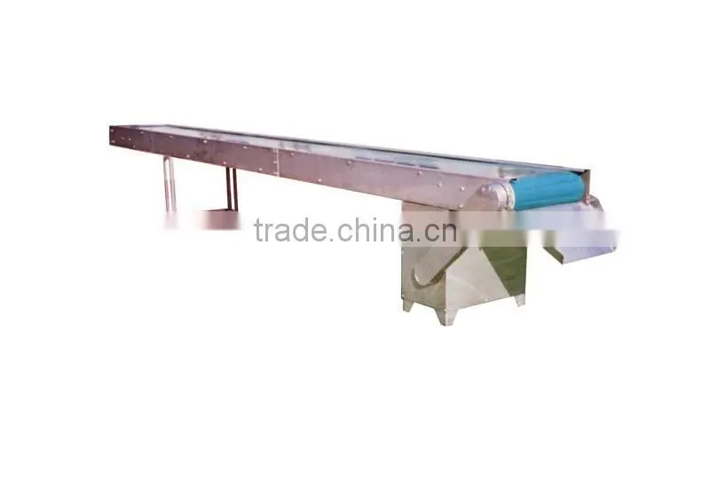 Fresh Fruit Conveyor/Fruit Conveyor