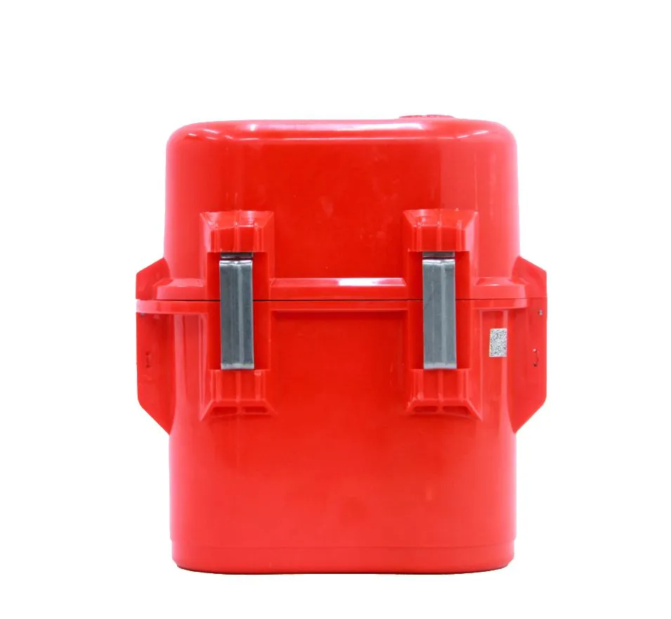 ZY45X back.jpg.webp
