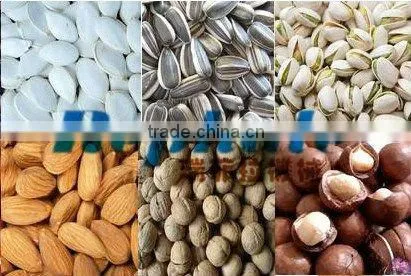 All kinds feeds Fry machine