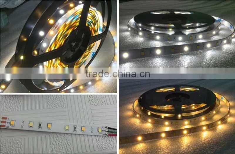 DC12V Super Bright Double Color 60led CCT Dimmerable flexible 3528 led strips with CE ROHS IP20 IP65