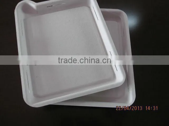 Hot new eco-friendly recycled material YPX818 Molded Pulp Packs