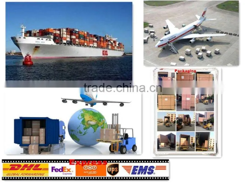 High speed wooden floor desktop uv curing system conveyor for screen printong TM-400UVF