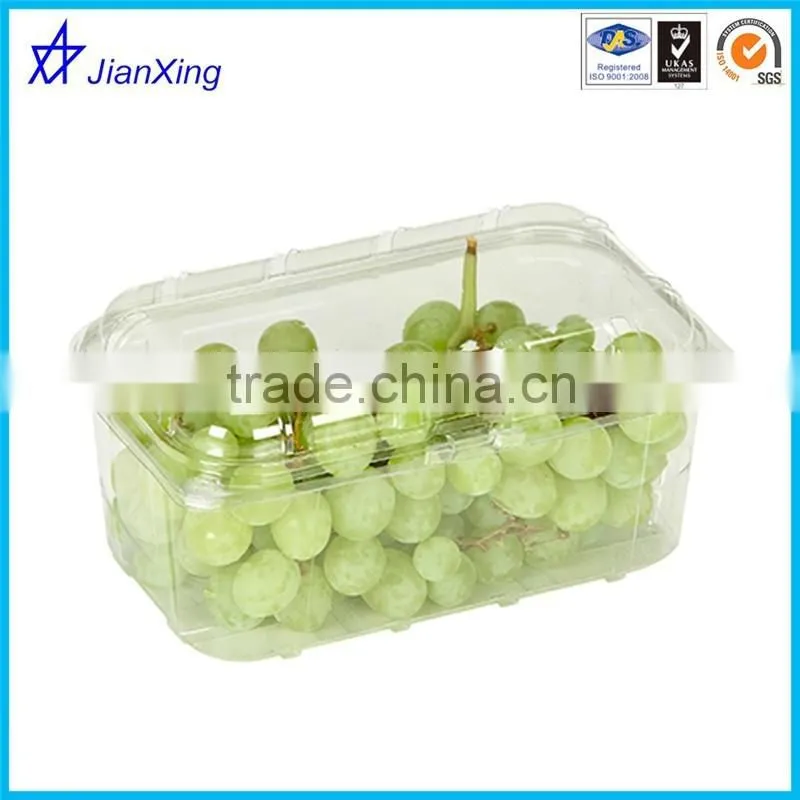 Good Quality PP Plastic Food packaging container frozen tray use for food