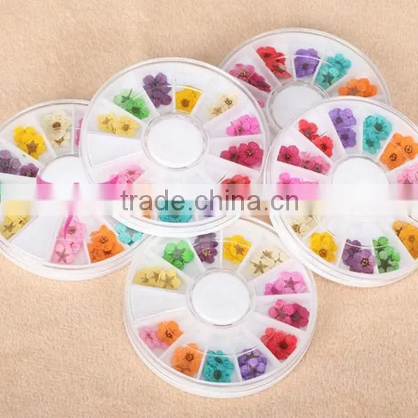 wholesale Nail Art Dry Dried Flowers Decoration With Mix Different Colors