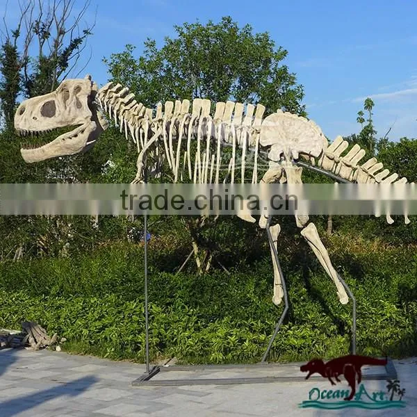 OA4082 high quality fossils dinosaur