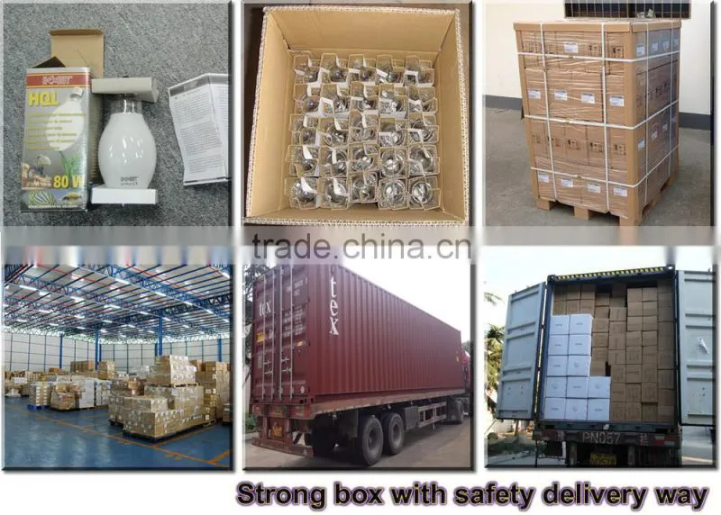 500W self ballast mercury lamp, mercury vapor lamp