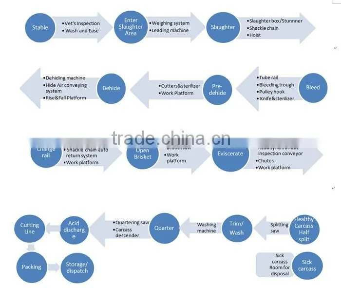 500 cattle slaughter line equipment with good layout design