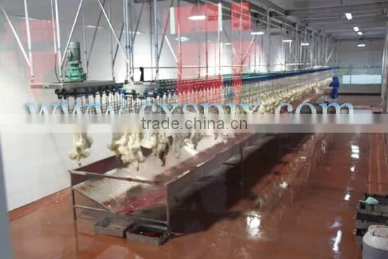 500 chicken slaughter line slaughterhouse/poultry abattoir