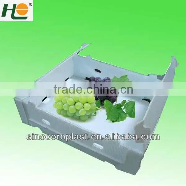 Recycled pp anti-static Industry Packaging Box