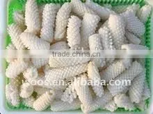 fish illex squid ring/tube/flower for sale
