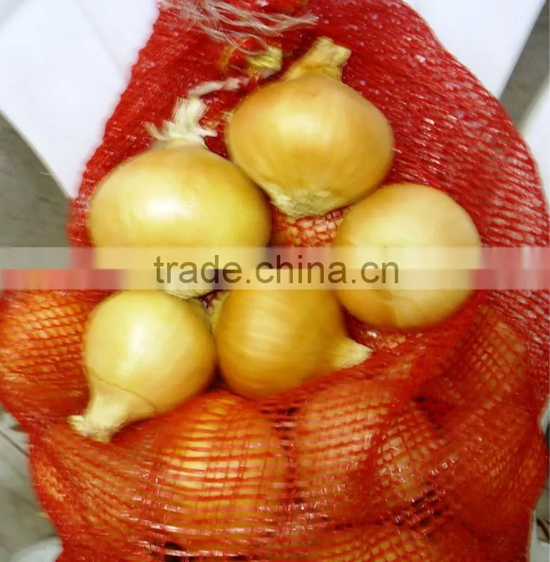 Egyptian onion from FOR WELL