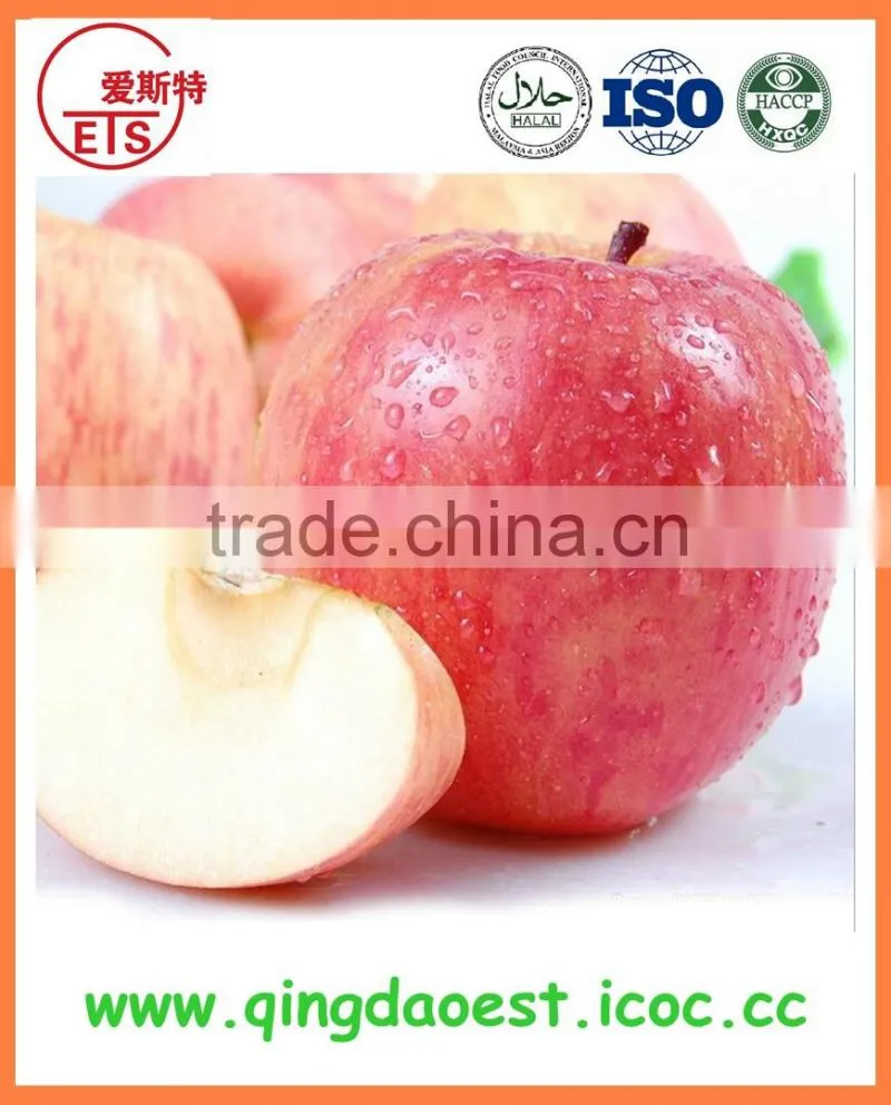 New crop peanut in blanched peanut origin in shandong