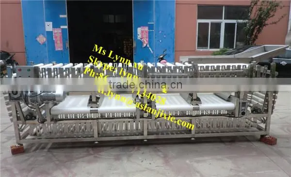 potato roller sorting machine /industrial potato sorter