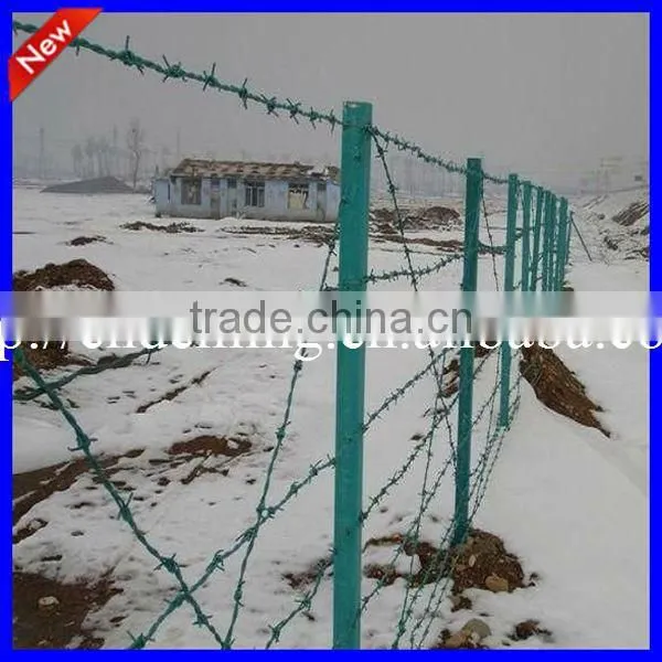 SGS certificate galvanized and pvc coated Barbed wire
