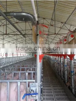 ^*Metering boars pig feeder feeding system can control feed