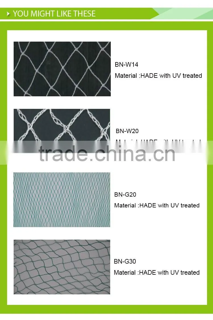 Top Quality Bird Mist Nets For Grape Seedlings