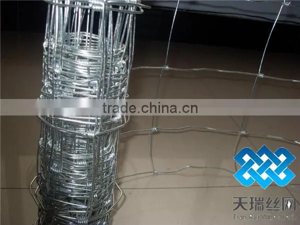 field mesh/cattle mesh/field fence