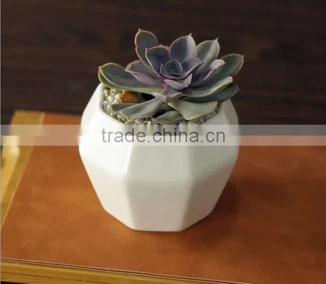 Creative octagon white ceramic small interior decorative pots