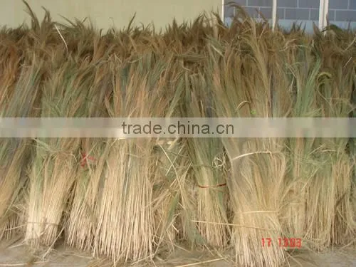 Small grass broom with plastic twist on handle