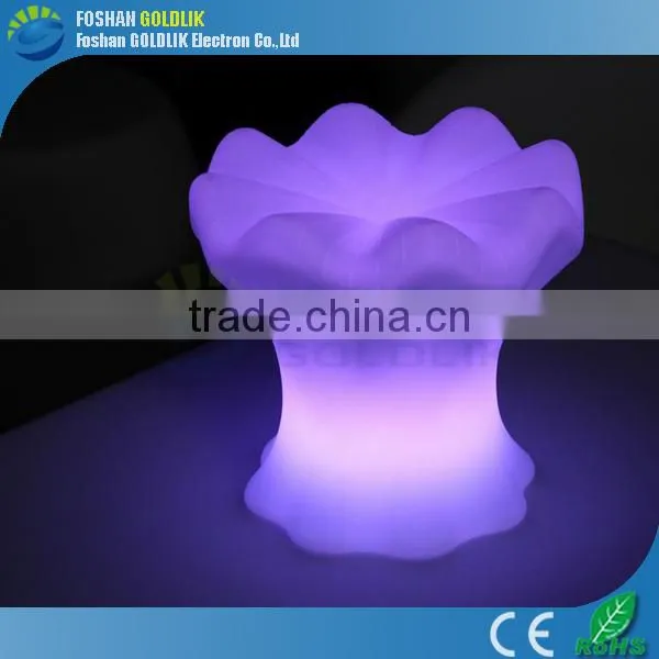 Indoor & Outdoor LED Decoration Lights/Holiday LED Lights