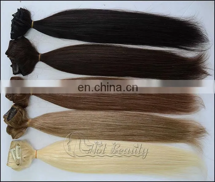 European/Indian/Brazilian Clip In Hair Extensions
