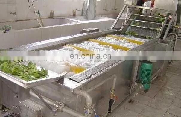 Potato Washing and sorting Machine