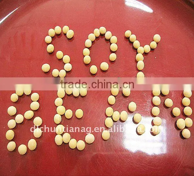 Organic Soybeans