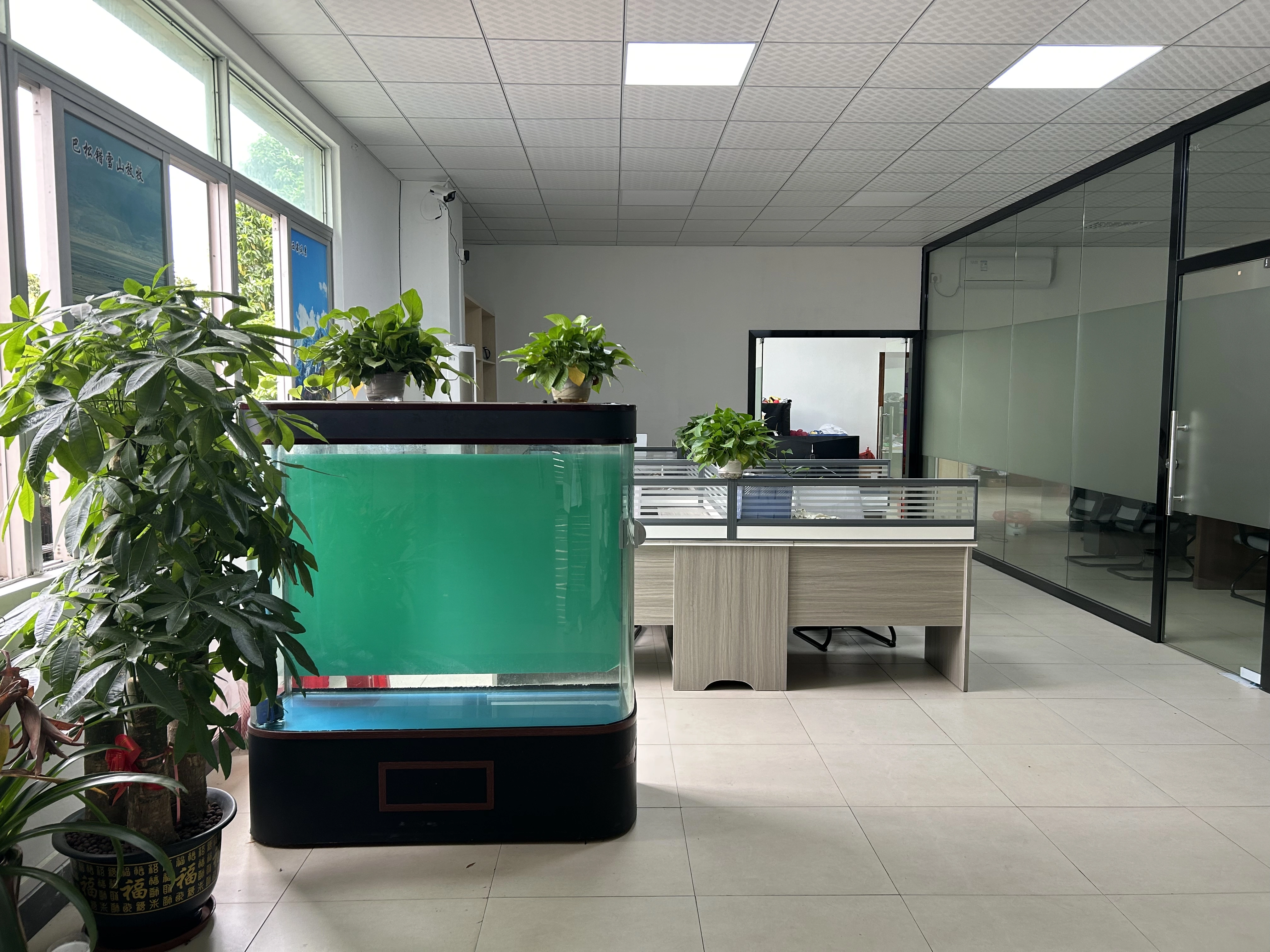 Dongguan Zixu Toy., LTD company overview - view 2