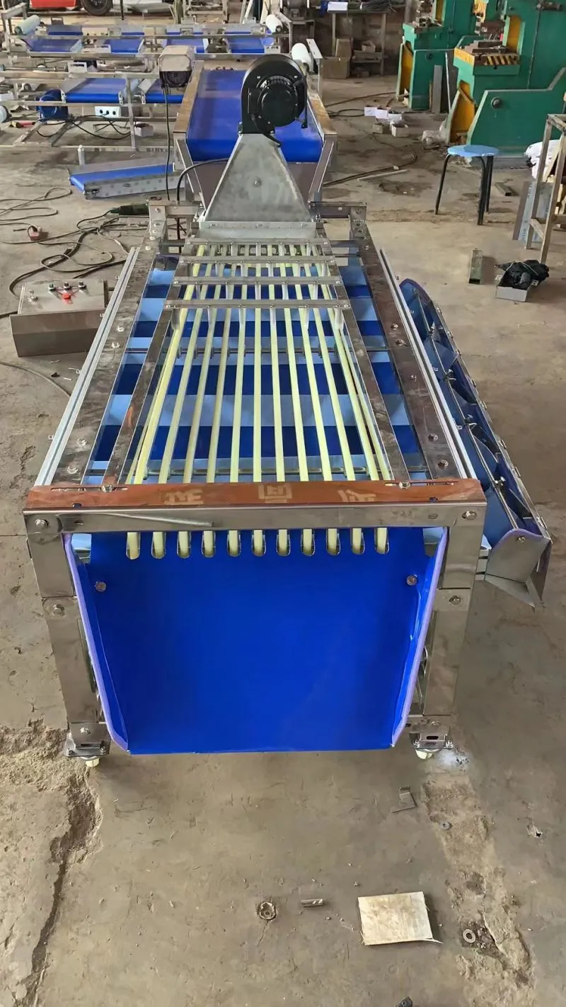 Green Lime Fruit Sorting Grading Machine Sorter Grader Machine Line Classifying Machines