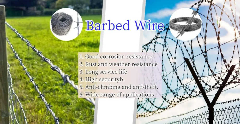 刺绳bannner_副本.jpg.webp