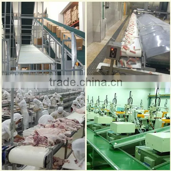 goods and granular material incline conveyor