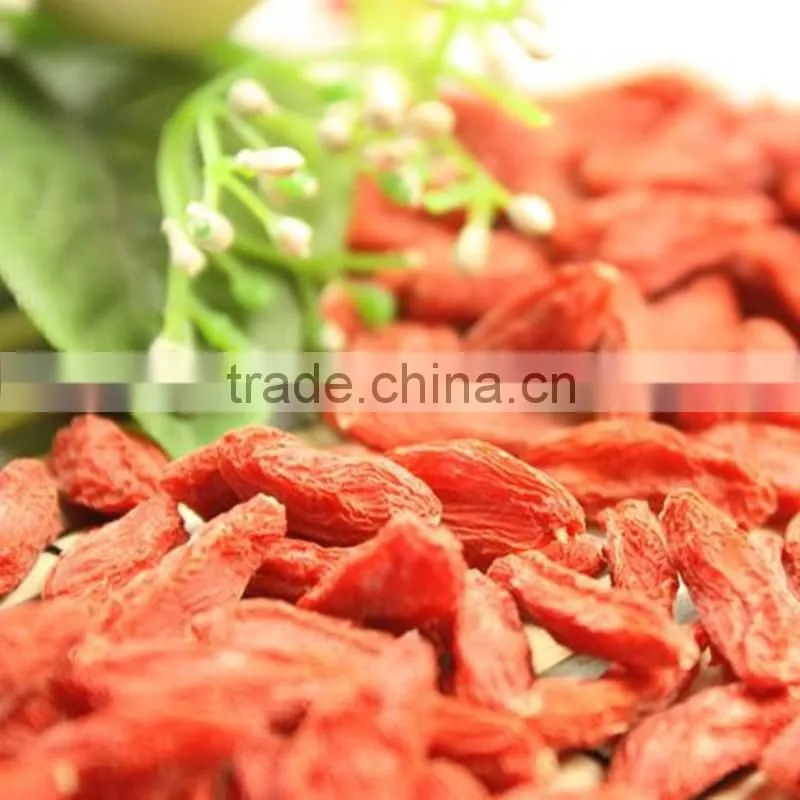 2014's crop organic and low pesticide gojiberry selling in good price