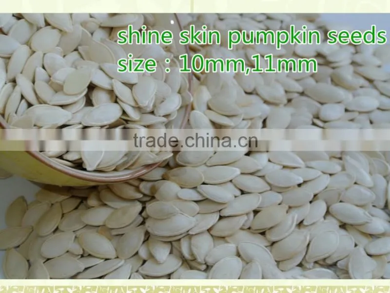 Shine Skin Pumpkin Seeds different types of seeds--East Dawn