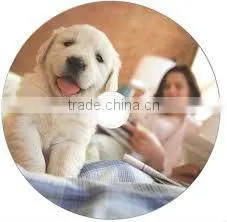 Bulk CD Replication for Music Fast Delivery