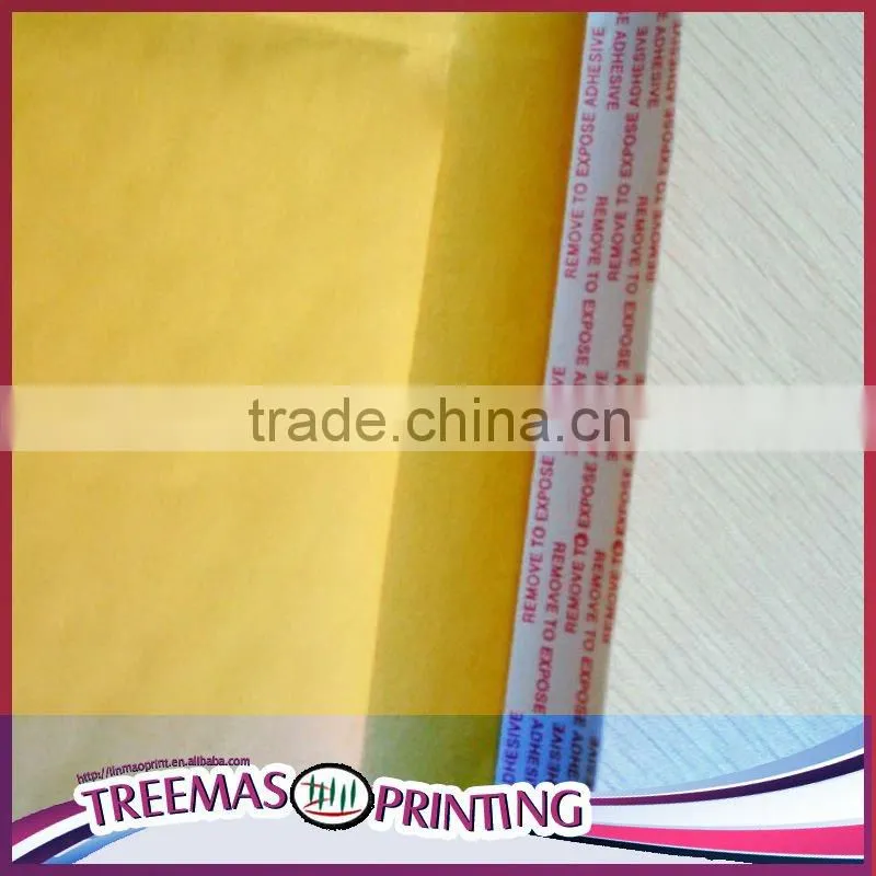 Hot Sell kraft paper Bubble Envelop